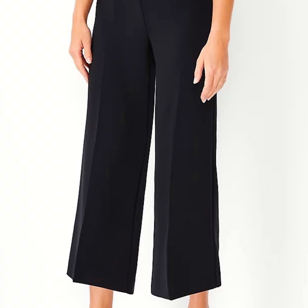 Ann Taylor Wide Leg Crop Pant